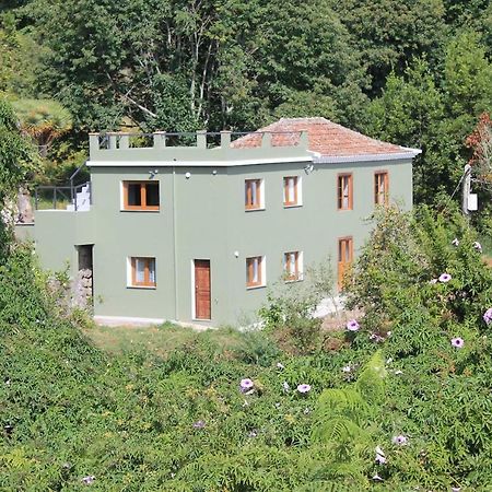 Casa Fita En El Cubo De La Galga Guest House Puntallana Ngoại thất bức ảnh